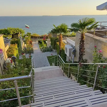 Dolche 2, Banana Tree Szveti Vlasz