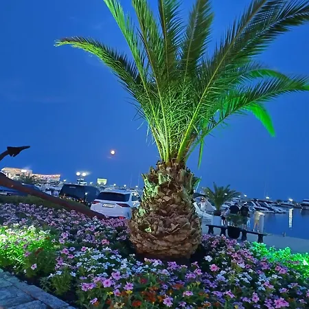 Dolche 2, Banana Tree Apartment *